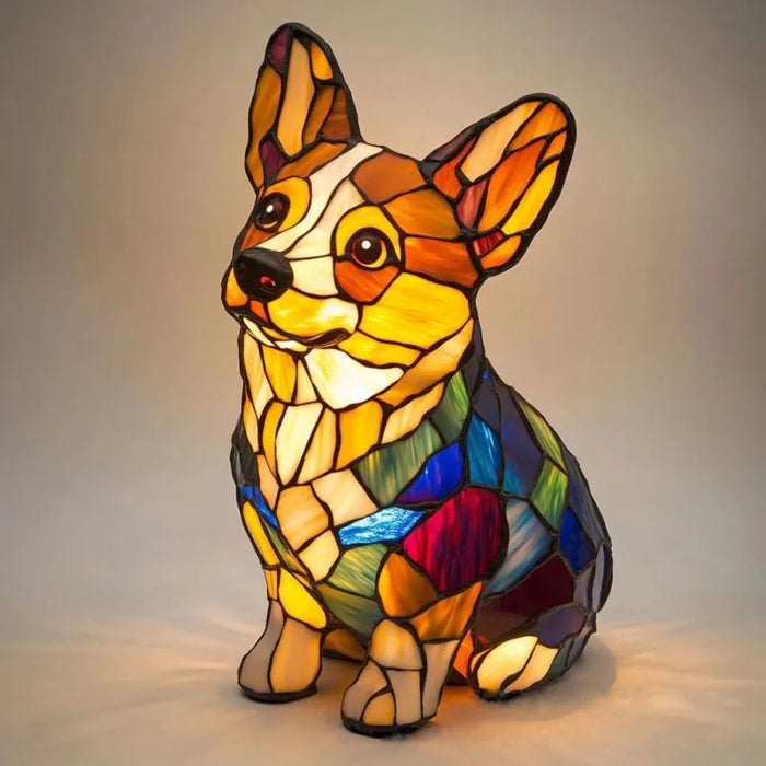 Rocky - Corgi de luz radiante